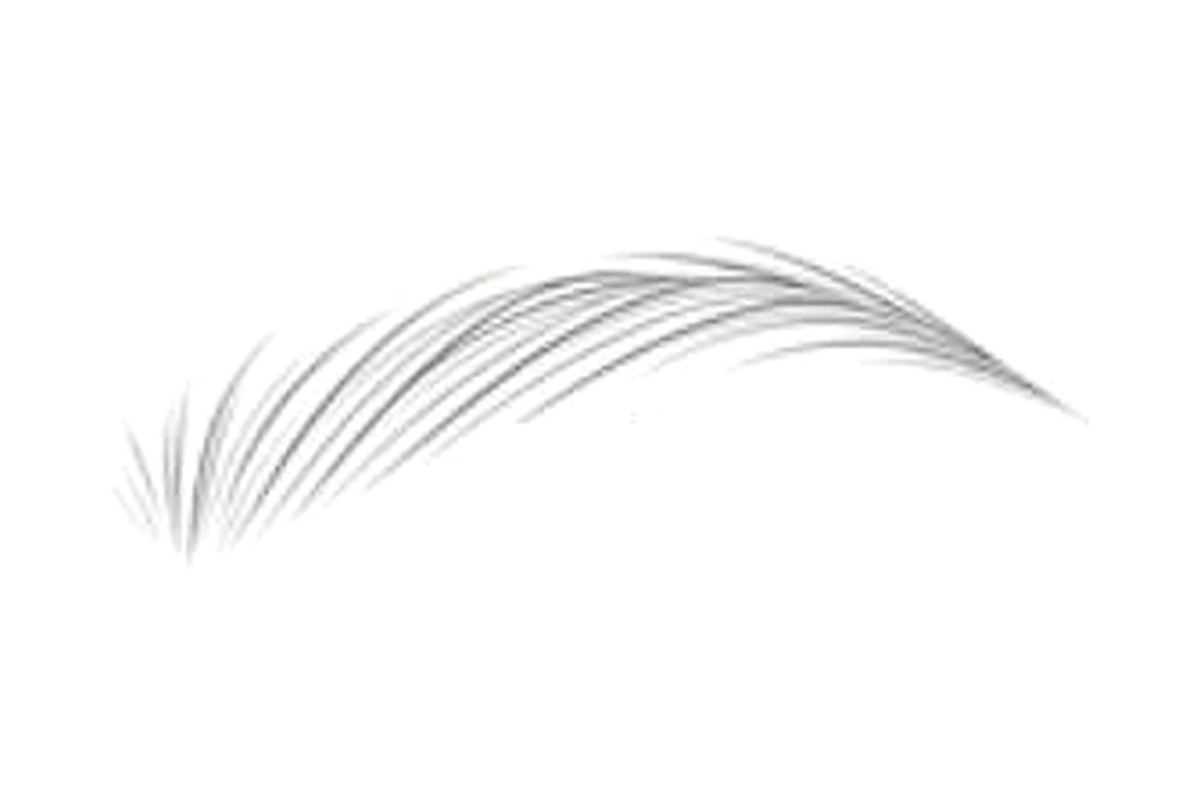 Nano Brow